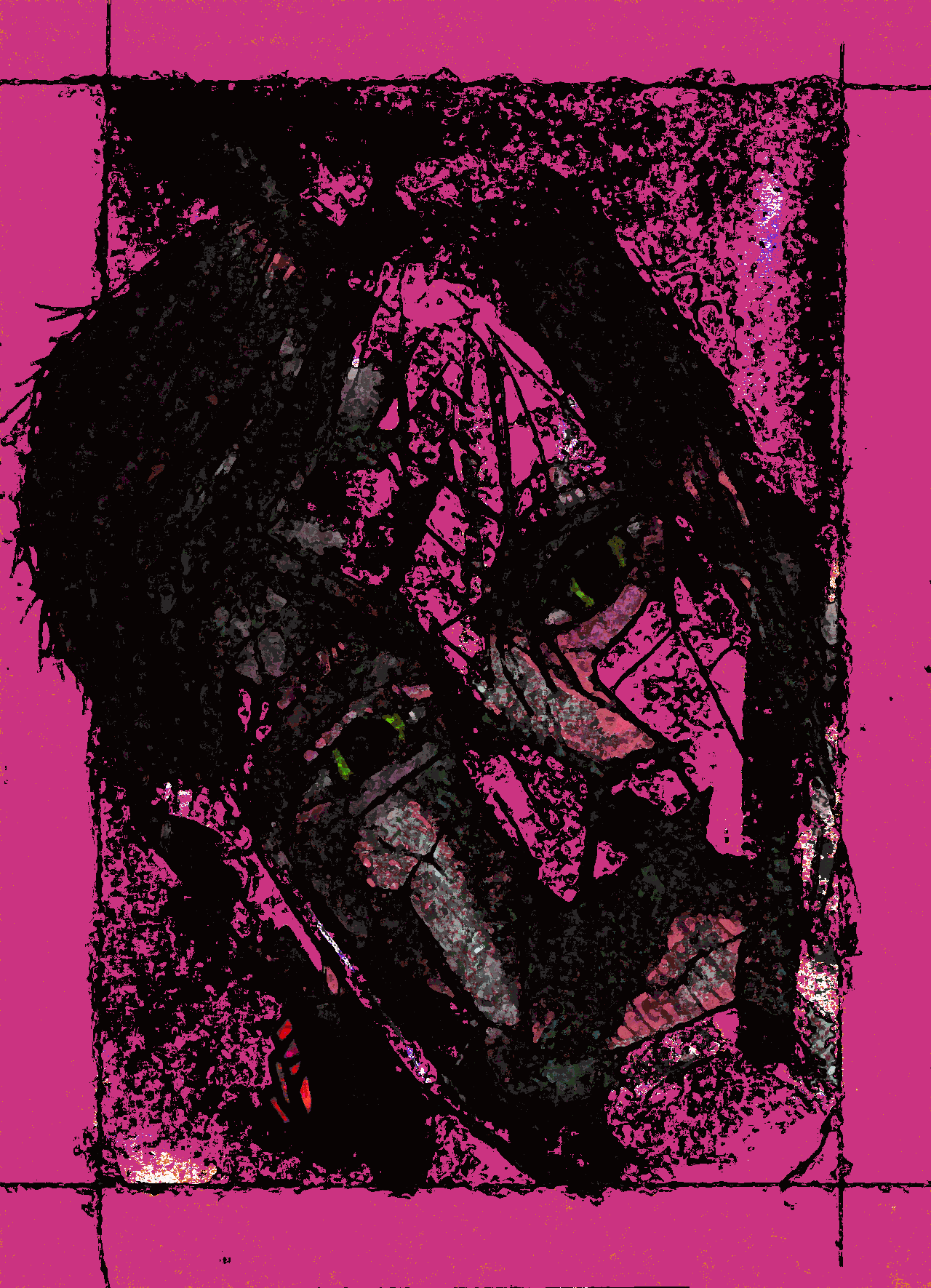 BAC|< FR0M the DEA|), GIF