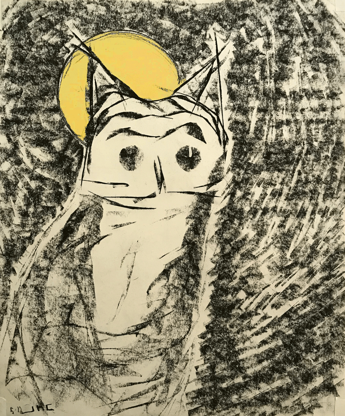 The Barn Owl Conundrum