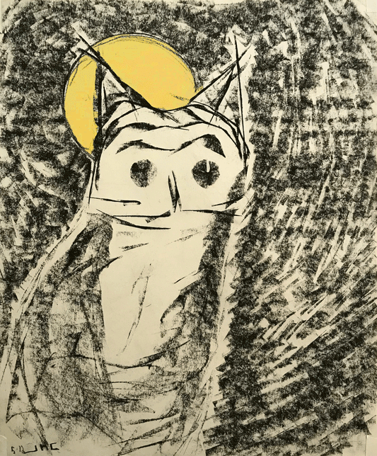 The Barn Owl Conundrum